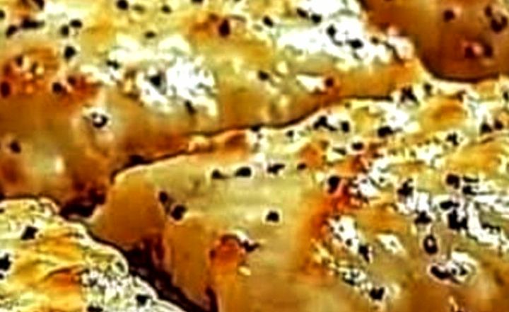 IMG 20250620 011950